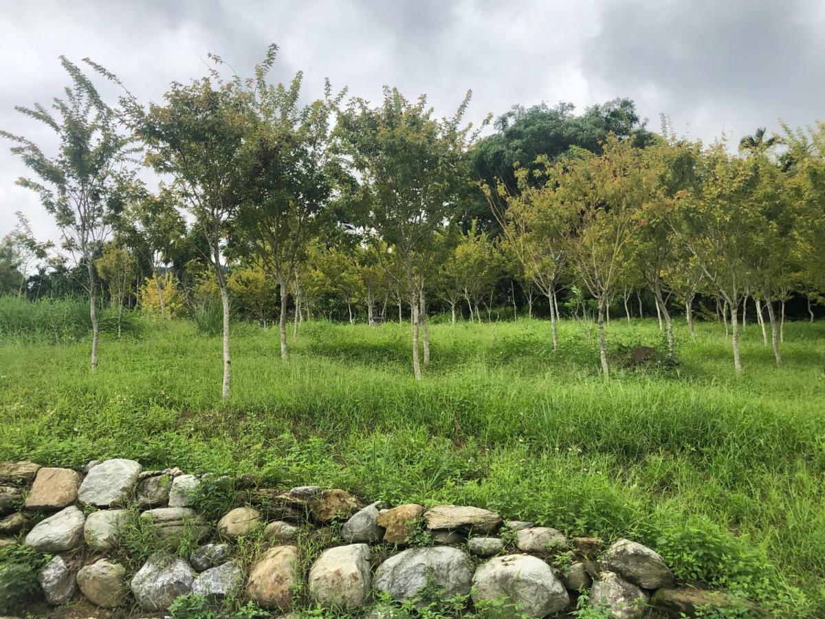 Fenglin Sunrise Forest מראה חיצוני תמונה